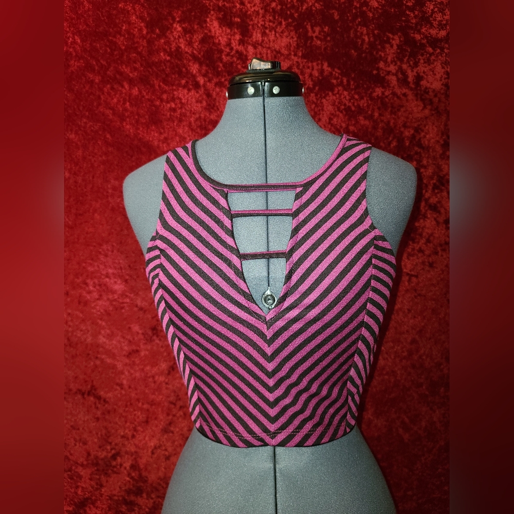 Purple/Pink Stripes Crop Top from 2B Bebe